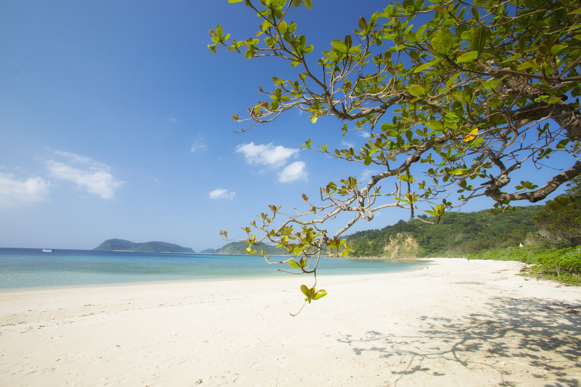 Iriomote Hotel By Hoshino Resorts Urauchi Exterior foto